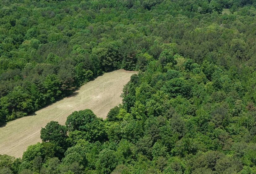 0 SILERTON RD, Bolivar, Tennessee 38008, ,Land,For Sale,SILERTON,10223158