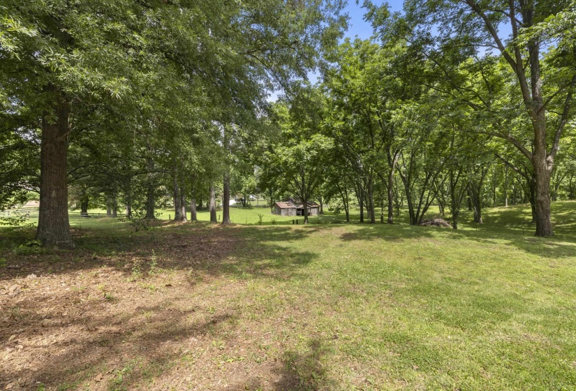 Expansive grassy area surrounded by mature trees, featuring a distant rustic outbuilding