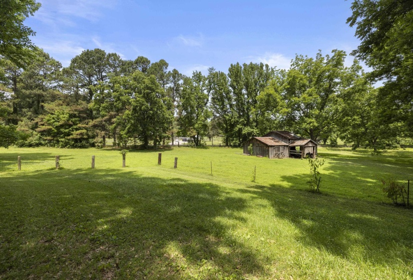 Expansive green acreage featuring a rustic outbuilding with a metal roof, surrounded by mature trees