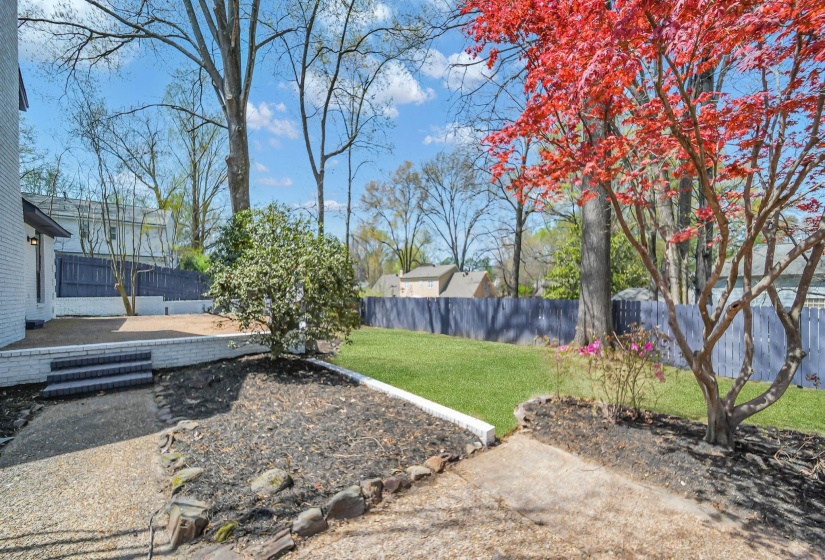 View of fenced backyard