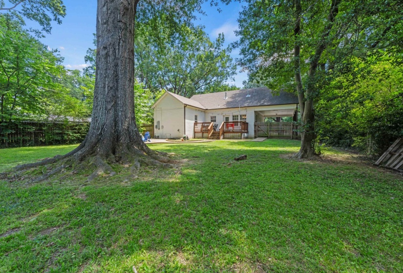 Expansive green lawn with mature trees and a rear deck