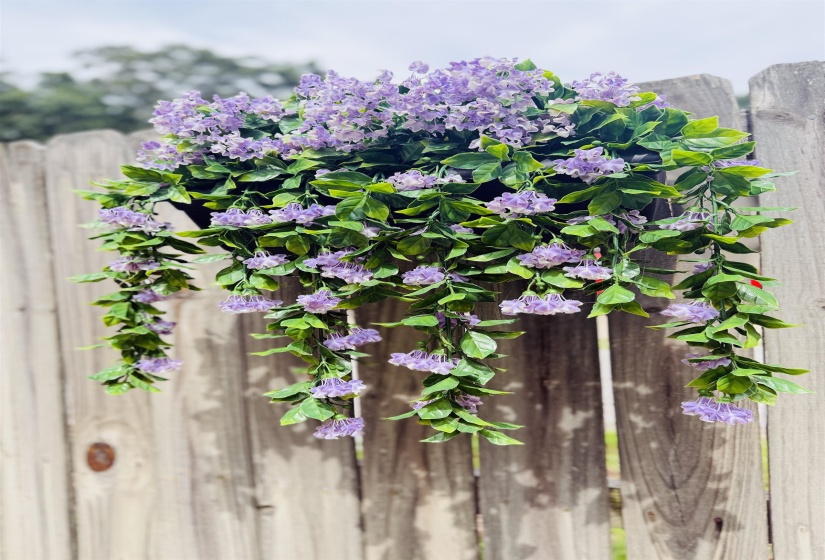 Hanging planter with purple blossoms and green foliage, suspended on a wood panel fence