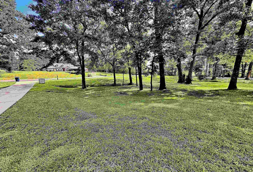 Expansive green lawn with mature trees providing shade