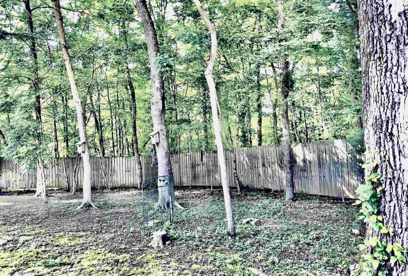 Wooded backyard featuring a privacy fence, mature trees, and natural ground cover