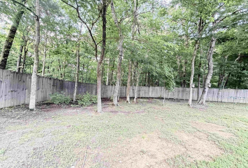 Expansive backyard featuring a privacy fence, mature trees, and natural landscaping