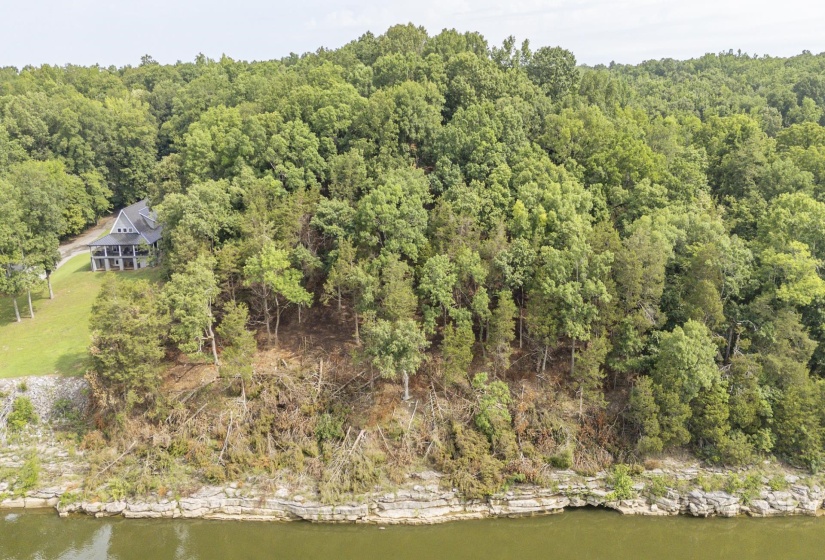 NELLS KNOB CV, Bath Springs, Tennessee 38311, 0 , 0 ,0,Land,For Sale,NELLS KNOB,0,10223243