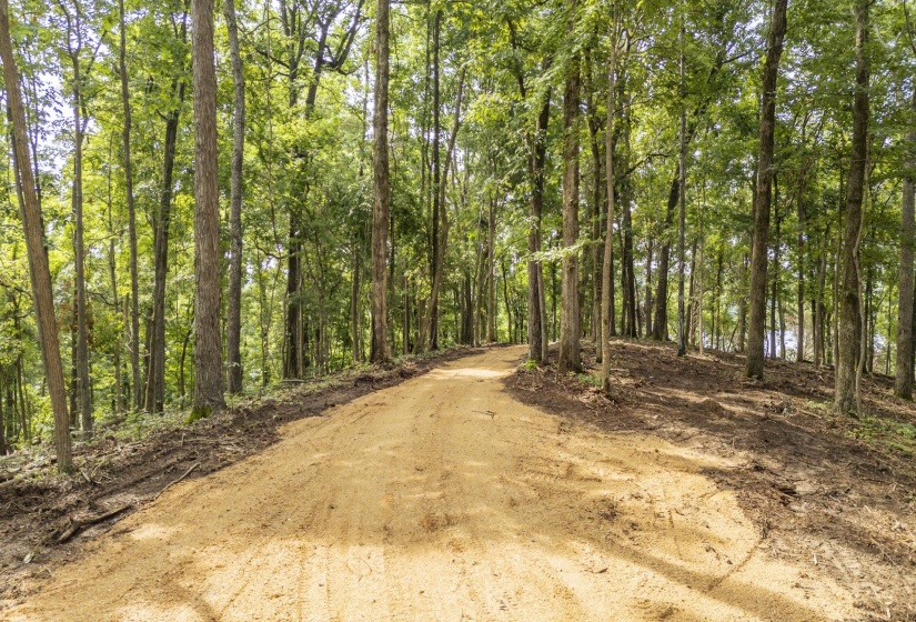 NELLS KNOB CV, Bath Springs, Tennessee 38311, 0 , 0 ,0,Land,For Sale,NELLS KNOB,0,10223243