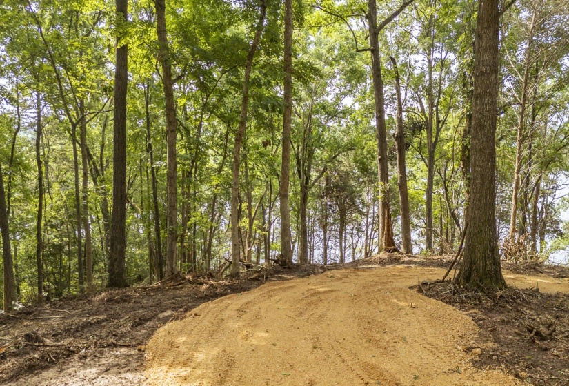NELLS KNOB CV, Bath Springs, Tennessee 38311, 0 , 0 ,0,Land,For Sale,NELLS KNOB,0,10223243