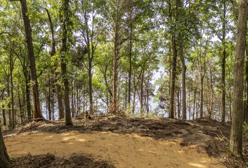 NELLS KNOB CV, Bath Springs, Tennessee 38311, 0 , 0 ,0,Land,For Sale,NELLS KNOB,0,10223243