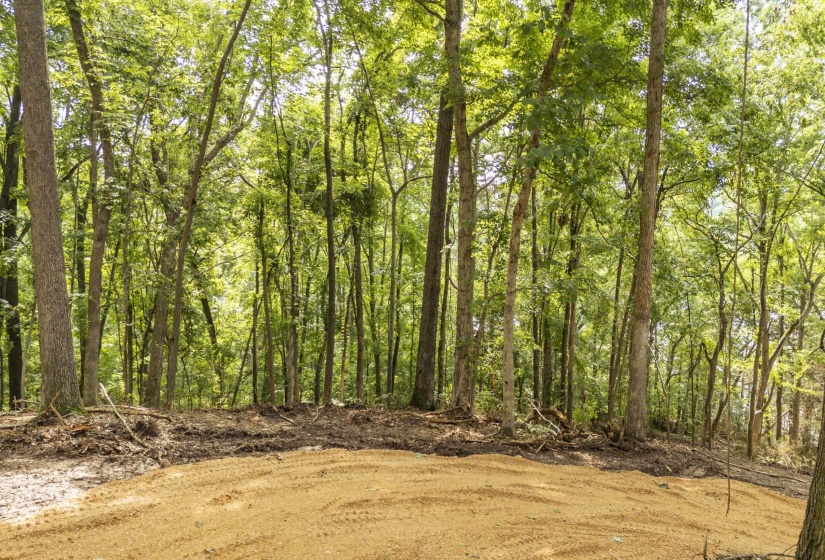 NELLS KNOB CV, Bath Springs, Tennessee 38311, 0 , 0 ,0,Land,For Sale,NELLS KNOB,0,10223243