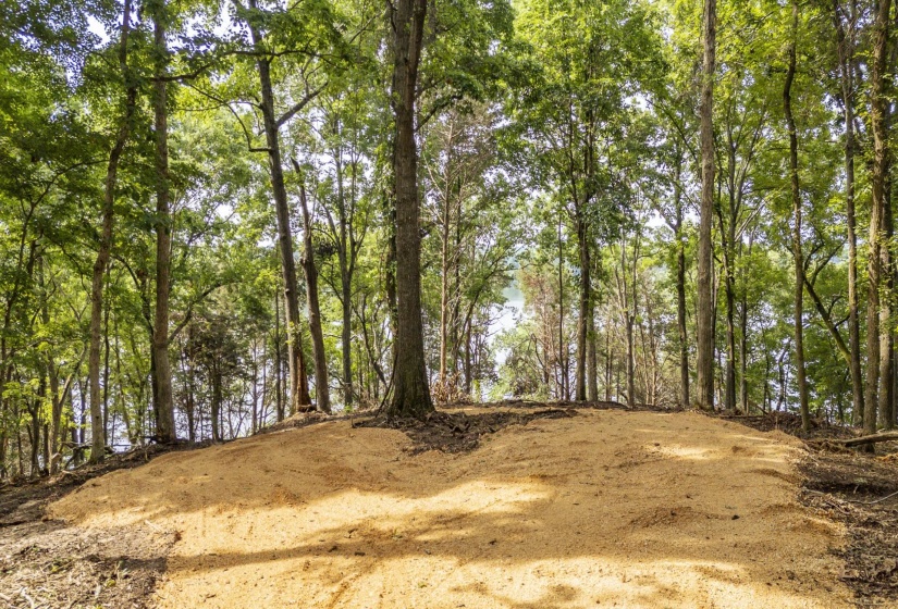 NELLS KNOB CV, Bath Springs, Tennessee 38311, 0 , 0 ,0,Land,For Sale,NELLS KNOB,0,10223243
