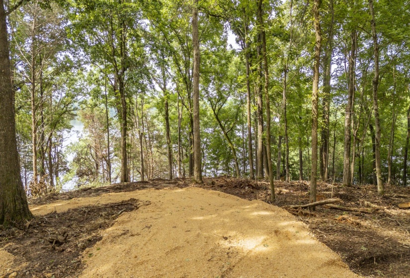 NELLS KNOB CV, Bath Springs, Tennessee 38311, 0 , 0 ,0,Land,For Sale,NELLS KNOB,0,10223243