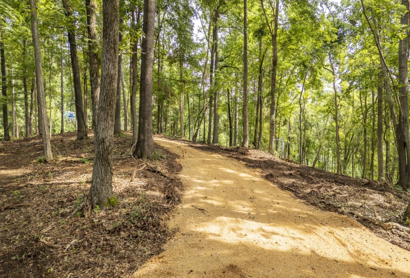 NELLS KNOB CV, Bath Springs, Tennessee 38311, 0 , 0 ,0,Land,For Sale,NELLS KNOB,0,10223243