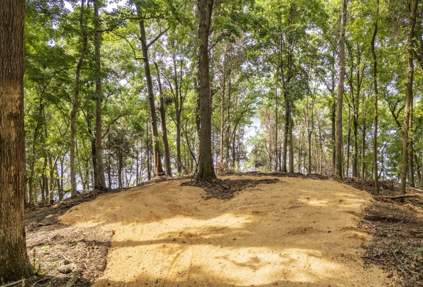 NELLS KNOB CV, Bath Springs, Tennessee 38311, 0 , 0 ,0,Land,For Sale,NELLS KNOB,0,10223243