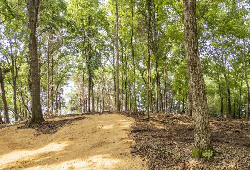 NELLS KNOB CV, Bath Springs, Tennessee 38311, 0 , 0 ,0,Land,For Sale,NELLS KNOB,0,10223243