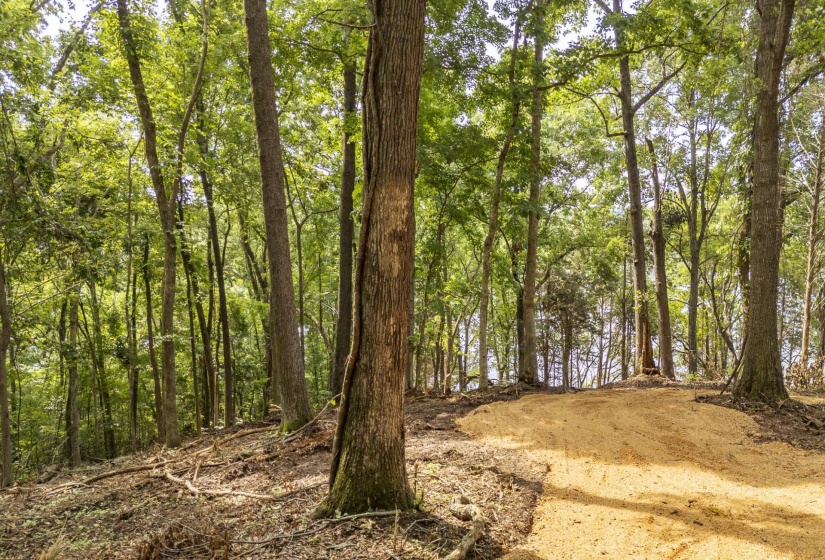 NELLS KNOB CV, Bath Springs, Tennessee 38311, 0 , 0 ,0,Land,For Sale,NELLS KNOB,0,10223243
