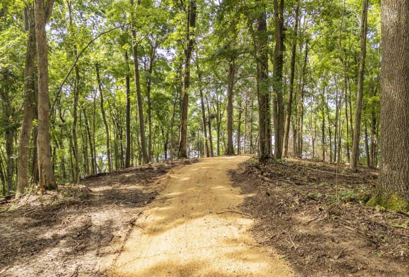 NELLS KNOB CV, Bath Springs, Tennessee 38311, 0 , 0 ,0,Land,For Sale,NELLS KNOB,0,10223243