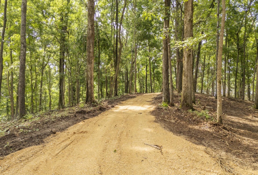 NELLS KNOB CV, Bath Springs, Tennessee 38311, 0 , 0 ,0,Land,For Sale,NELLS KNOB,0,10223243