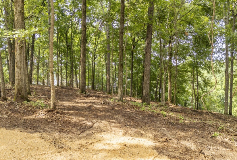NELLS KNOB CV, Bath Springs, Tennessee 38311, 0 , 0 ,0,Land,For Sale,NELLS KNOB,0,10223243
