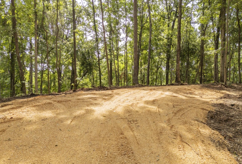 NELLS KNOB CV, Bath Springs, Tennessee 38311, 0 , 0 ,0,Land,For Sale,NELLS KNOB,0,10223243