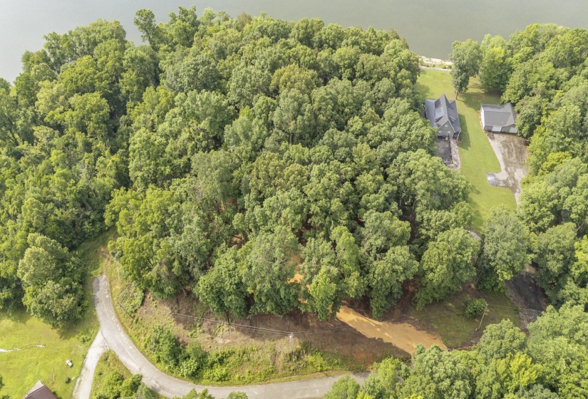 NELLS KNOB CV, Bath Springs, Tennessee 38311, 0 , 0 ,0,Land,For Sale,NELLS KNOB,0,10223243