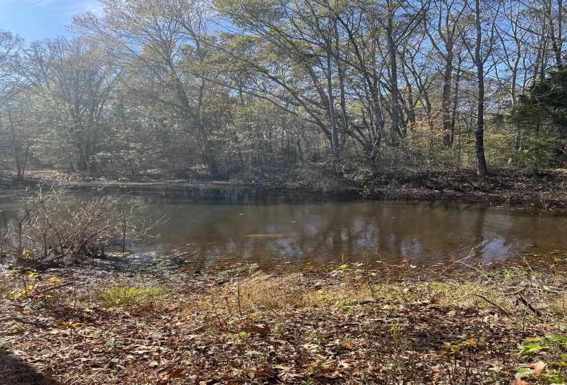 0 HWY 57 HWY, Moscow, Tennessee 38057, ,Land,For Sale,HWY 57,10223248