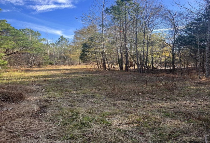 0 HWY 57 HWY, Moscow, Tennessee 38057, ,Land,For Sale,HWY 57,10223248