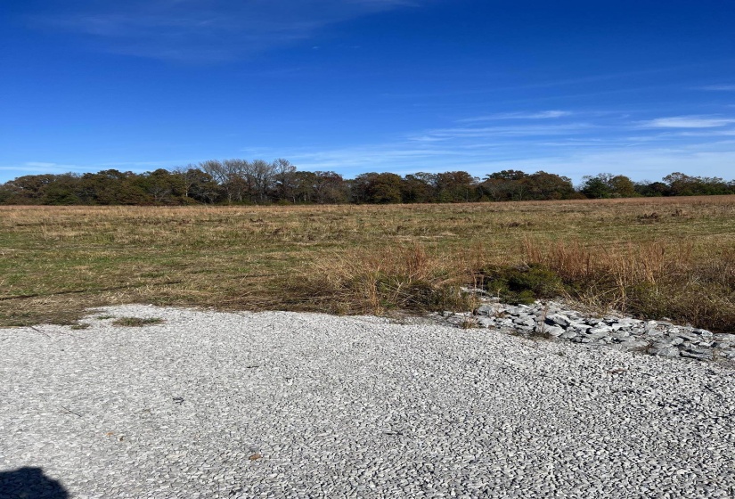 0 HWY 57 HWY, Moscow, Tennessee 38057, ,Land,For Sale,HWY 57,10223248
