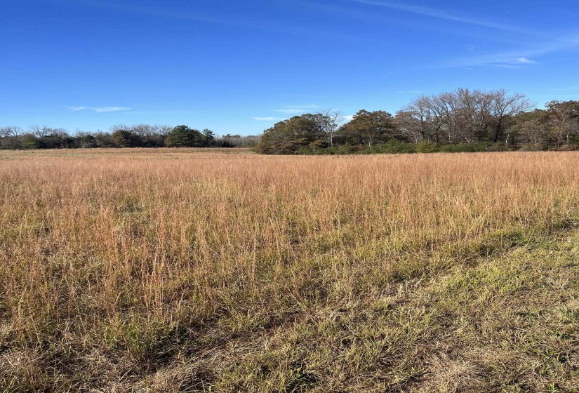 0 HWY 57 HWY, Moscow, Tennessee 38057, ,Land,For Sale,HWY 57,10223248