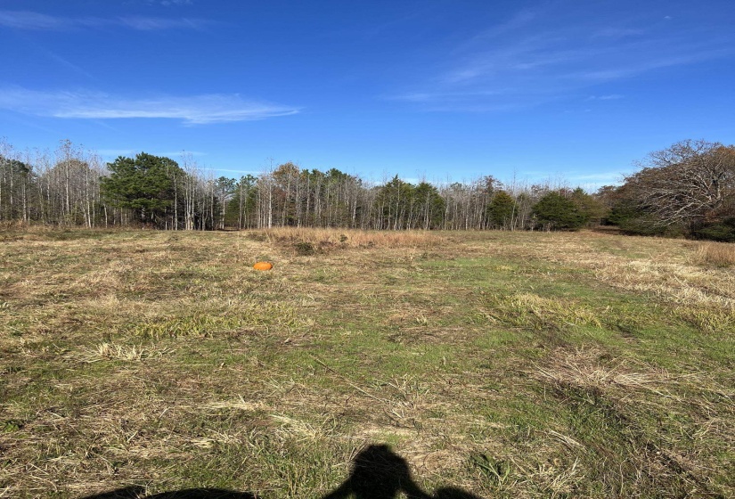 0 HWY 57 HWY, Moscow, Tennessee 38057, ,Land,For Sale,HWY 57,10223248