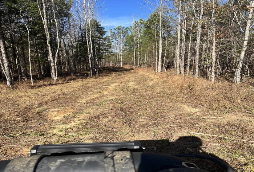 0 HWY 57 HWY, Moscow, Tennessee 38057, ,Land,For Sale,HWY 57,10223248