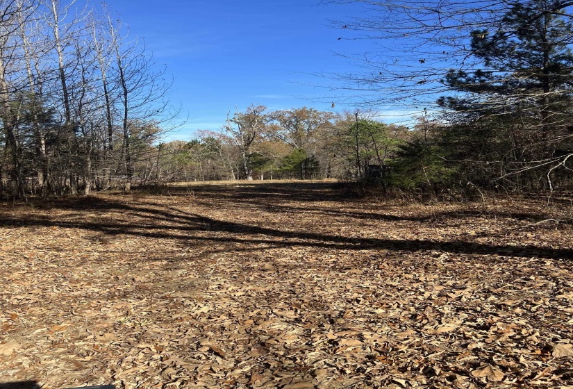 0 HWY 57 HWY, Moscow, Tennessee 38057, ,Land,For Sale,HWY 57,10223248