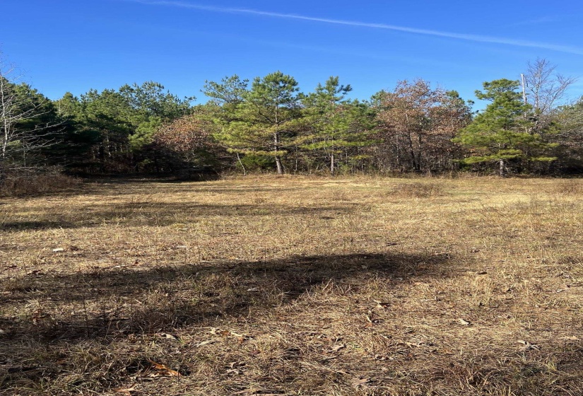 0 HWY 57 HWY, Moscow, Tennessee 38057, ,Land,For Sale,HWY 57,10223248