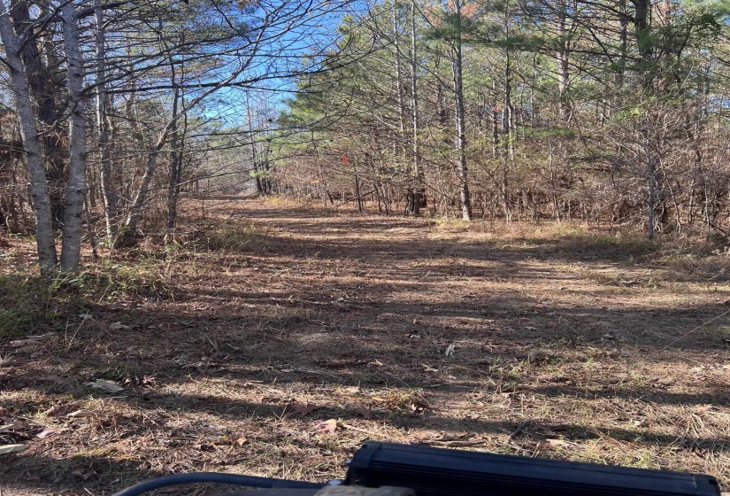 0 HWY 57 HWY, Moscow, Tennessee 38057, ,Land,For Sale,HWY 57,10223248