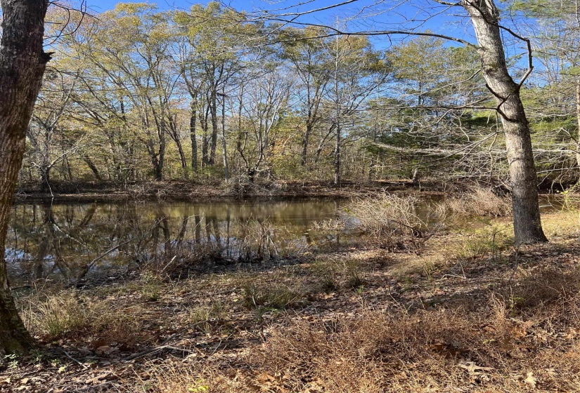 0 HWY 57 HWY, Moscow, Tennessee 38057, ,Land,For Sale,HWY 57,10223248