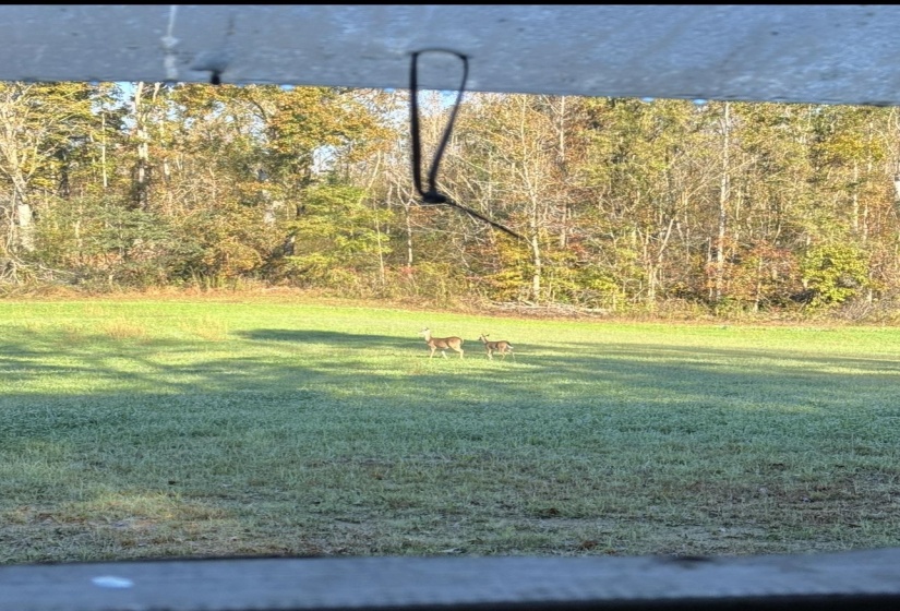 0 SNEED RD, Unicorp/Drummonds, Tennessee 38023, ,Land,For Sale,SNEED,10223261