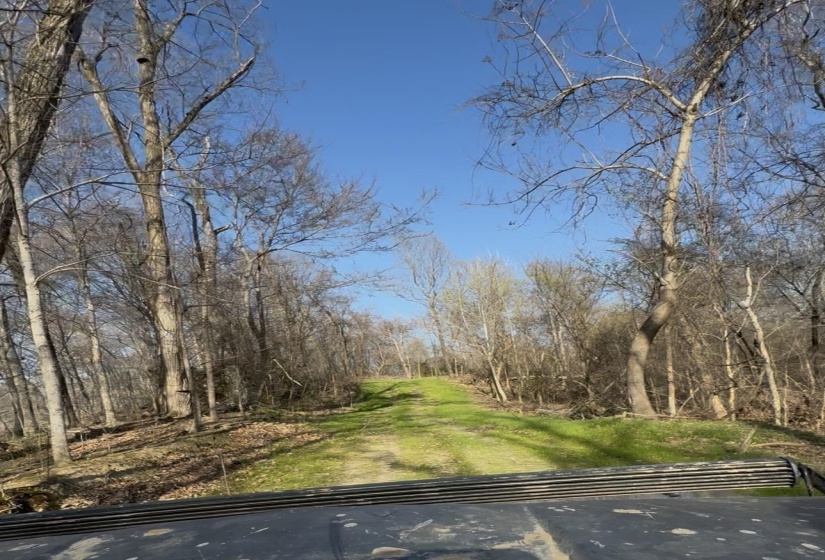 0 SNEED RD, Unicorp/Drummonds, Tennessee 38023, ,Land,For Sale,SNEED,10223261