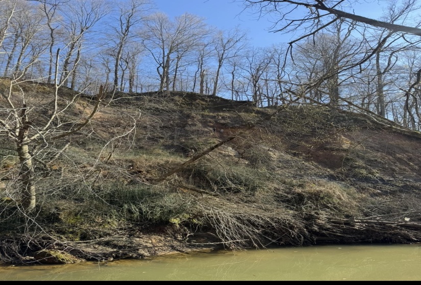 0 SNEED RD, Unicorp/Drummonds, Tennessee 38023, ,Land,For Sale,SNEED,10223261