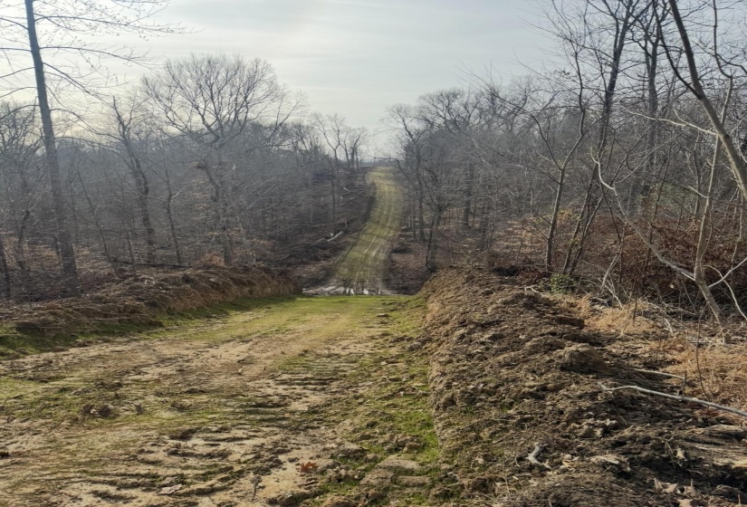 0 SNEED RD, Unicorp/Drummonds, Tennessee 38023, ,Land,For Sale,SNEED,10223261