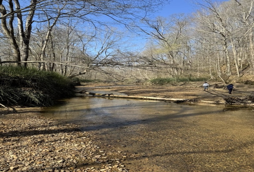0 SNEED RD, Unicorp/Drummonds, Tennessee 38023, ,Land,For Sale,SNEED,10223261