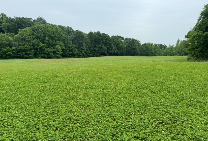 0 SNEED RD, Unicorp/Drummonds, Tennessee 38023, ,Land,For Sale,SNEED,10223261