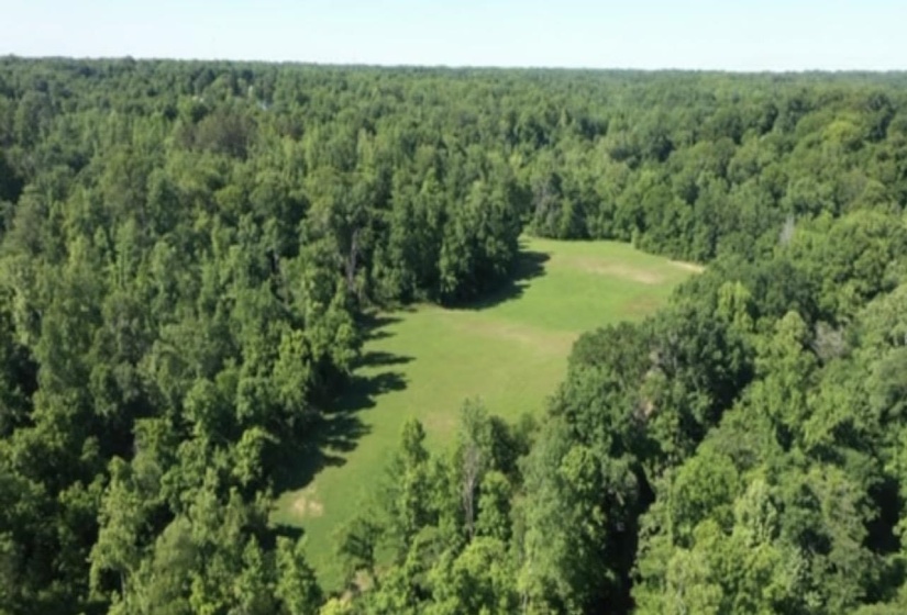 0 SNEED RD, Unicorp/Drummonds, Tennessee 38023, ,Land,For Sale,SNEED,10223261
