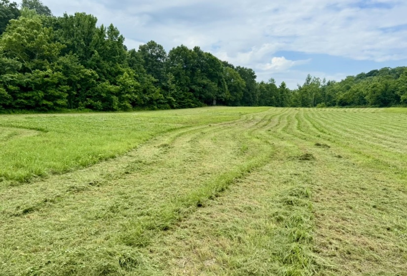 0 SNEED RD, Unicorp/Drummonds, Tennessee 38023, ,Land,For Sale,SNEED,10223261