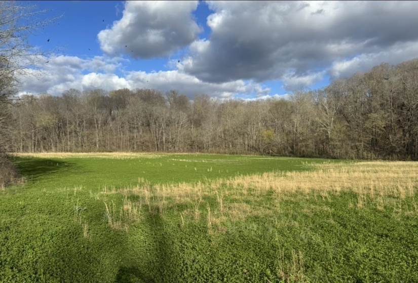 0 SNEED RD, Unicorp/Drummonds, Tennessee 38023, ,Land,For Sale,SNEED,10223261