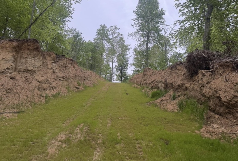 0 SNEED RD, Unicorp/Drummonds, Tennessee 38023, ,Land,For Sale,SNEED,10223261