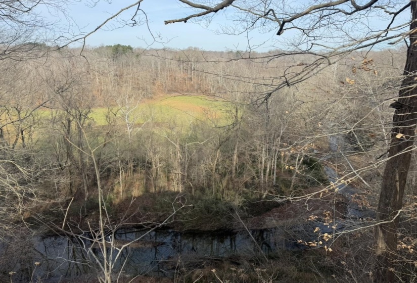 0 SNEED RD, Unicorp/Drummonds, Tennessee 38023, ,Land,For Sale,SNEED,10223261