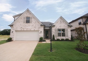9609 COTTON FEED ST, Cordova, Tennessee 38018, 5 Bedroom Bedrooms, 9 Room Rooms,3 BathroomBathrooms,Residential,For Sale,COTTON FEED,0,10217434 9609 COTTON FEED ST, Cordova, Tennessee 38018, 5 Bedroom Bedrooms, 9 Room Rooms,3 BathroomBathrooms,Residential,For Sale,COTTON FEED,0,10217434