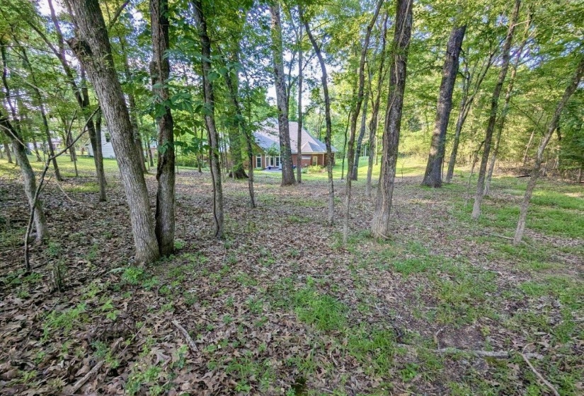 12525 WALNUT GROVE RD, Unincorporated, Tennessee 38017, 4 Bedroom Bedrooms, 13 Room Rooms,3.1 BathroomBathrooms,Residential,For Sale,WALNUT GROVE,0,10223207