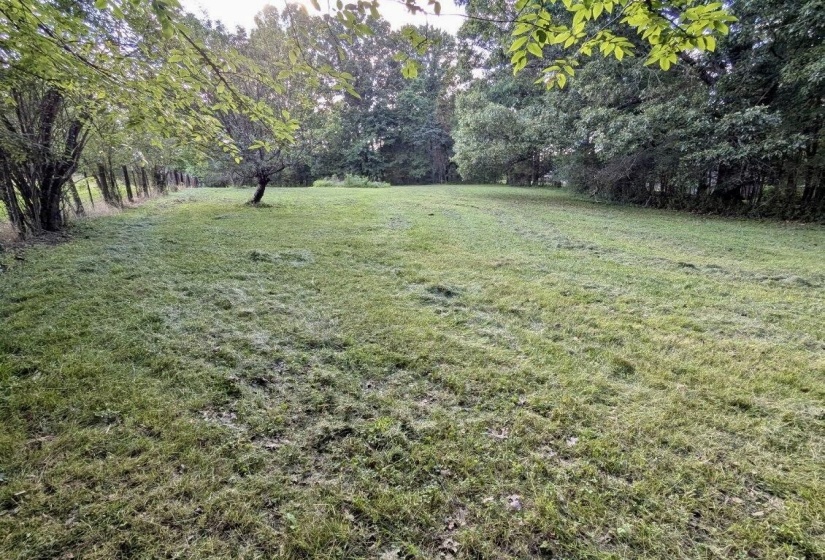 12525 WALNUT GROVE RD, Unincorporated, Tennessee 38017, 4 Bedroom Bedrooms, 13 Room Rooms,3.1 BathroomBathrooms,Residential,For Sale,WALNUT GROVE,0,10223207