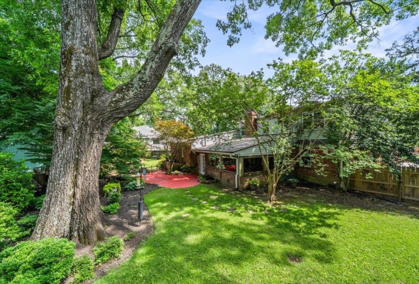 Expansive backyard featuring a large tree, vibrant red patio, lush green lawn, and mature landscaping